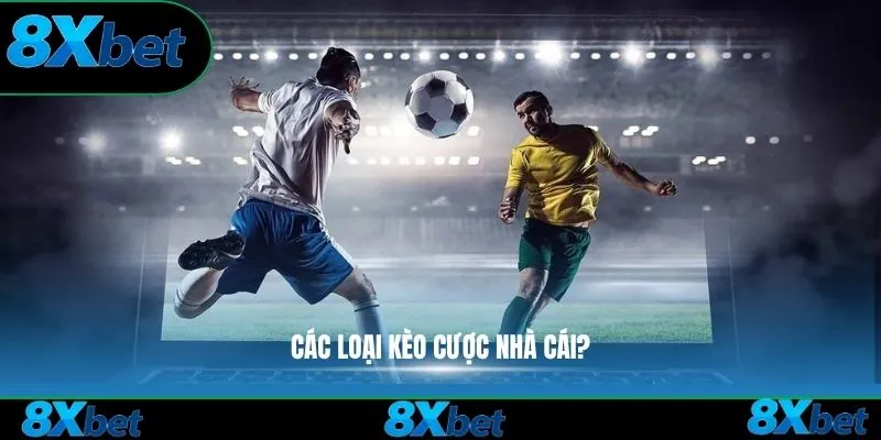 Các loại kèo cược nhà cái?