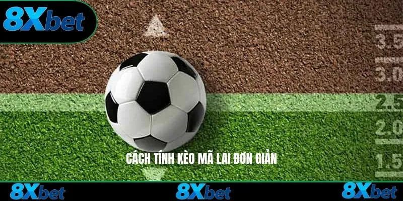 Cách tính kèo Mã Lai đơn giản