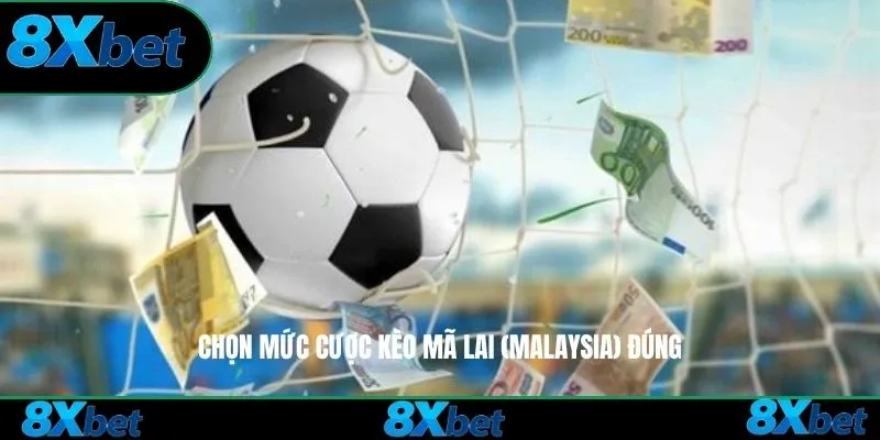 Chọn mức cược kèo Mã Lai 8xbet đúng