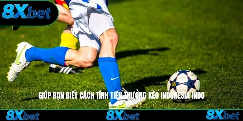 Giúp bạn biết cách tính tiền thưởng Kèo Indonesia 8xbet