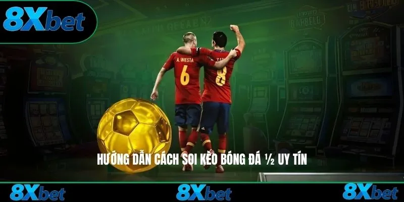 Hướng dẫn cách soi kèo bóng đá ½ uy tín