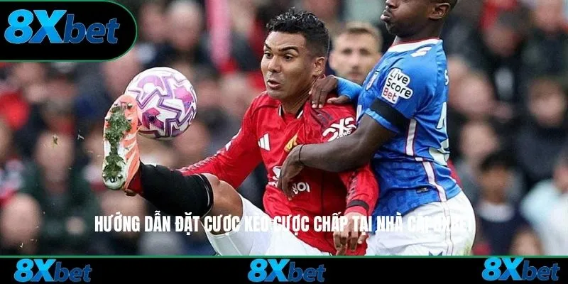 Hướng dẫn đặt cược kèo chấp tại nhà cái 8xbet