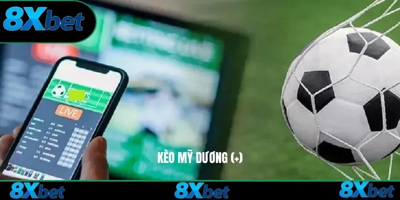Kèo Mỹ dương (+)