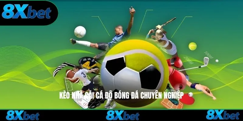 Kèo nhà cái cá độ bóng đá chuyên nghiệp