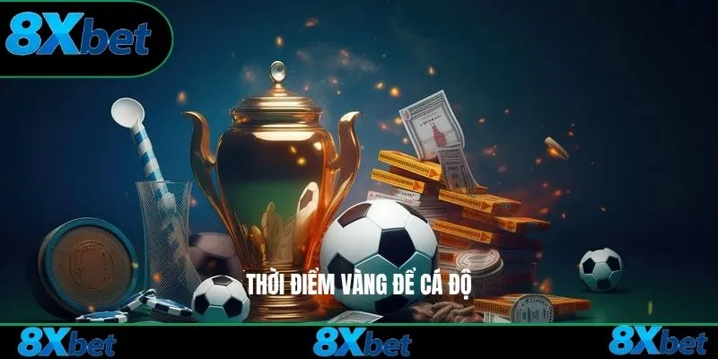 Thời điểm vàng để cá độ