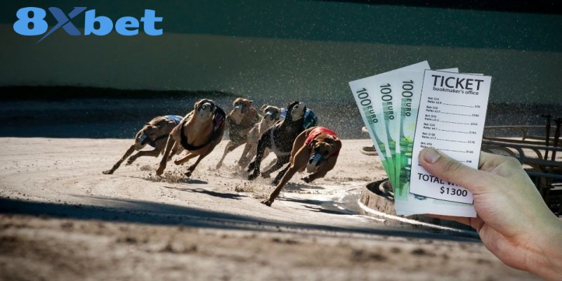 Cá Cược Đua Chó 8XBET Bí Kíp Soi Kèo Và Mẹo Chiến Thắng