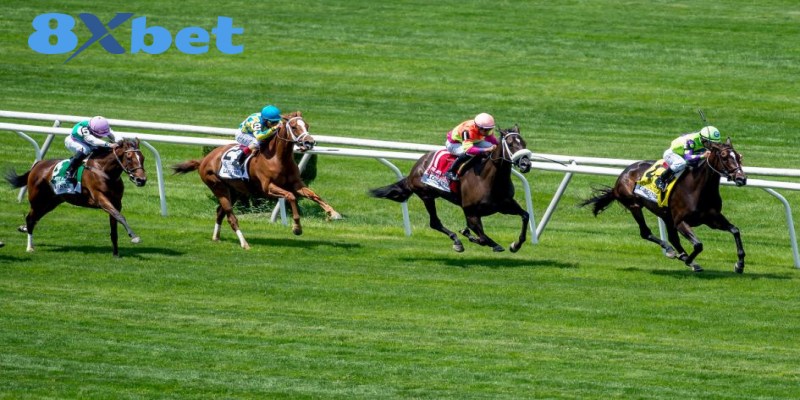 Cá Cược Đua Ngựa - Chiến Thuật Phân Tích Kỵ Mã Chuyên Sâu